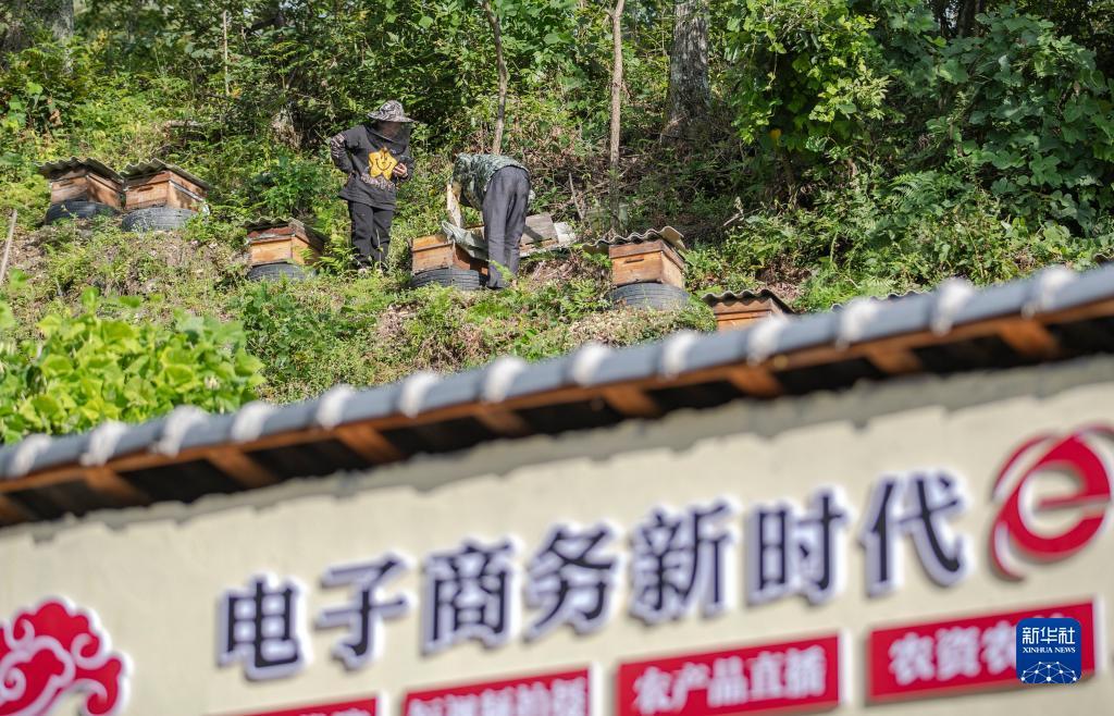广东推倒胡麻将下载